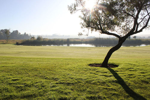 Golf Day 2022 at Serengeti Golf Estate